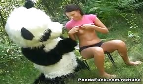 Panda posuwa młodą laskę w ogrodzie 